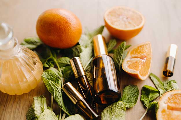 Why choose Plant Guru