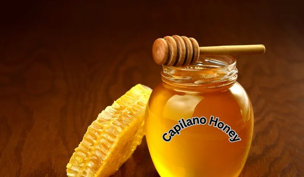 Capilano Honey